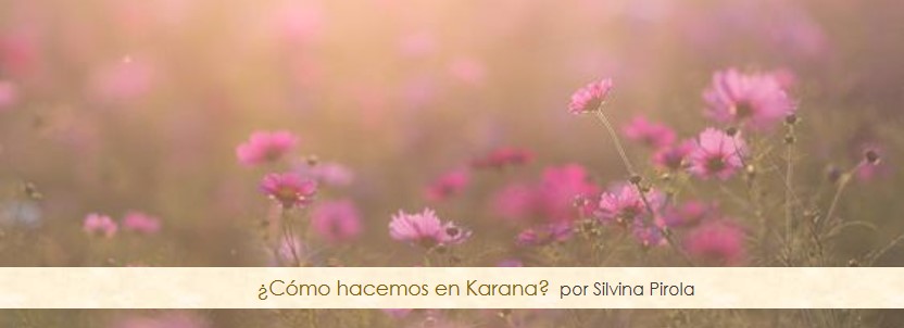 ¿Cómo hacemos en Escuela Karana?