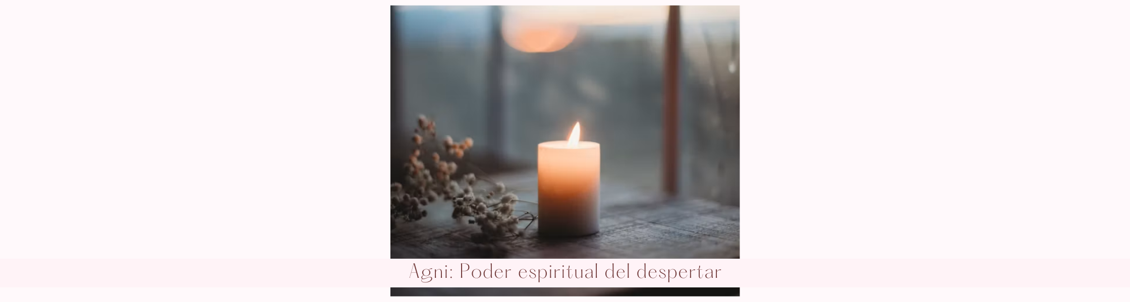 Agni Fuego Digestivo