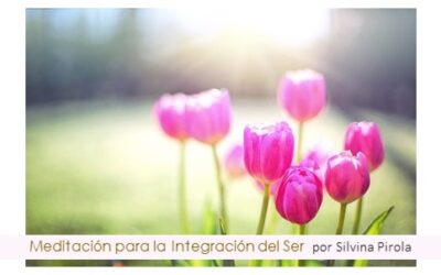 Meditación para la Integración del Ser