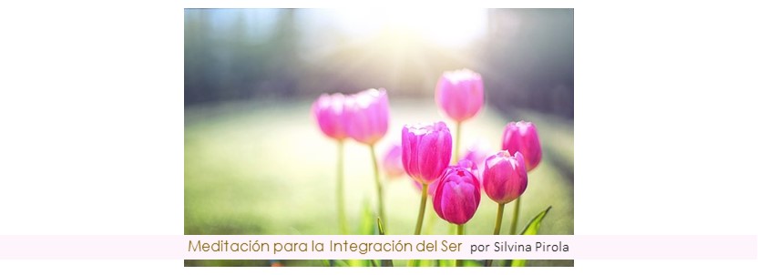 Meditación para la Integración del Ser